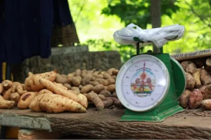 agricultural weighing equipment